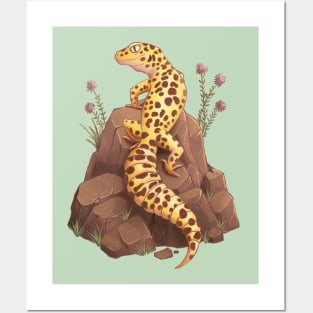 Leopard Gecko on the rock Posters and Art